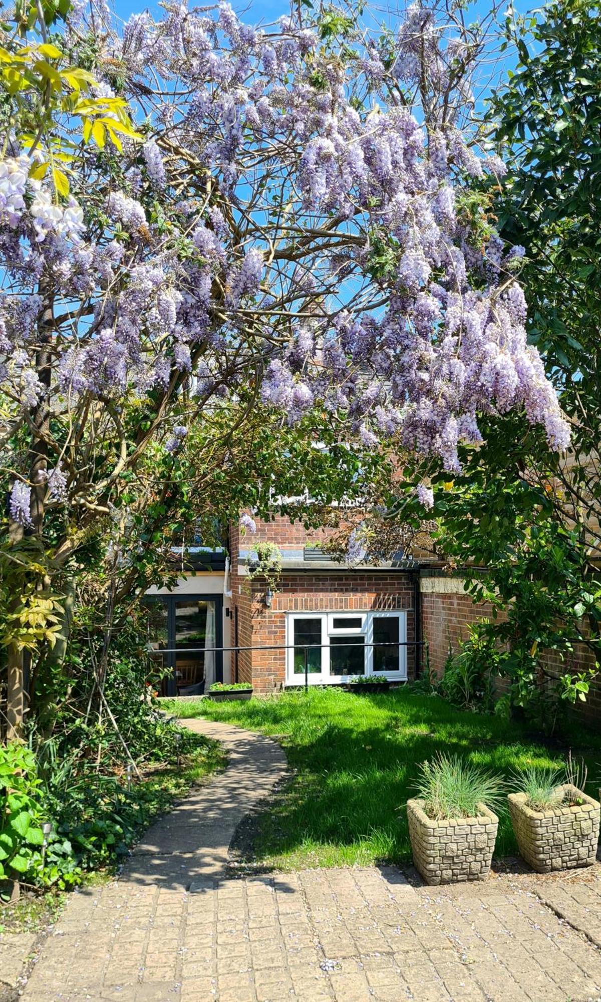 The Hideaway - Luxury Townhouse Villa Wareham Buitenkant foto
